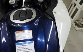 KAWASAKI VERSYS X250Aﾂｱﾗｰ 2024 LE250D