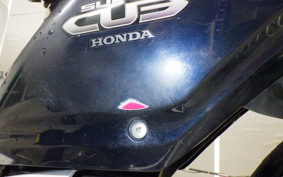 HONDA C110 SUPER CUB JA10