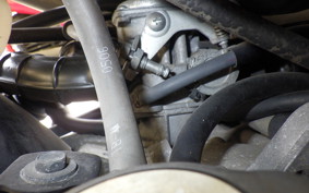 HONDA ZOOMER AF58