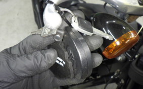 HARLEY FXLRS1920 2022