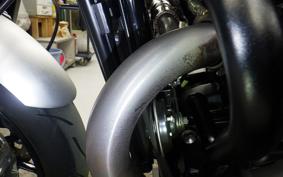 TRIUMPH SPEED TWIN 2024
