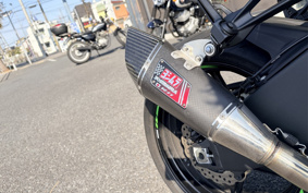 KAWASAKI NINJA ZX-6R KRT 2022 ZX636G