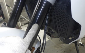 DUCATI DESSERT X 2024