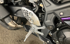 YAMAHA YZF-R25 RG74J