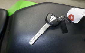 KAWASAKI ZX-4RR 2023 ZX400P