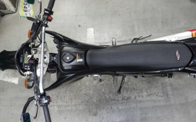 YAMAHA WR250X 2021 DG15J