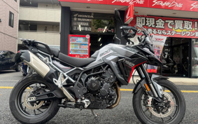 TRIUMPH TIGER 900GT PRO 2024 TRC82D