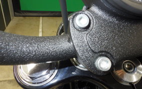 HARLEY FXBB1920 2025