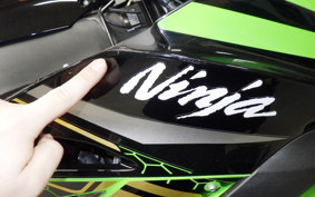 KAWASAKI ZX 10 NINJA ABS 2020