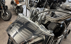 HARLEY FLFBS 2021 YGK