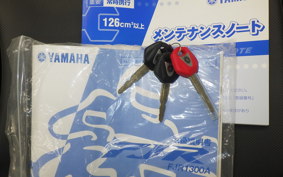 YAMAHA FJR1300 A 2015 RP27J