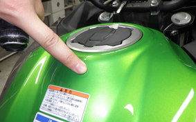 KAWASAKI VERSYS-X 250 A LE250D