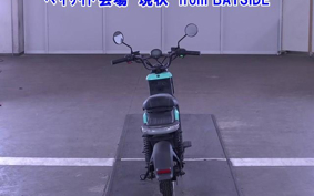 OTHER MINI BIKE