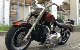 HARLEY FLSTF 2011 BX5