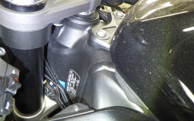 KAWASAKI NINJA ZX-6R A 2019 ZX636G