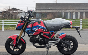HONDA GROM JC92