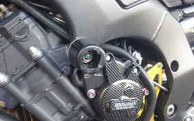 YAMAHA FZ1 FAZER 2009 RN17