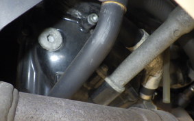 YAMAHA MAXAM 250 SG21J