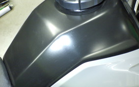 HONDA CRF250L 2019 MD47