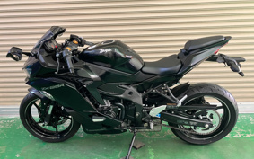 KAWASAKI NINJA ZX-25R ZX250E