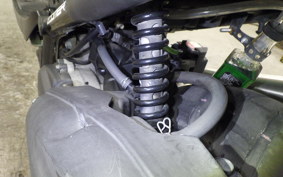 HONDA ZOOMER 2021 AF58