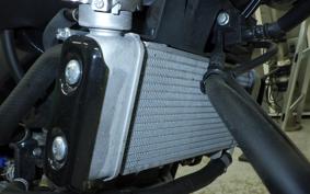 YAMAHA XSR125 2024 RE46J