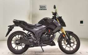 HONDA HORNET 2.0