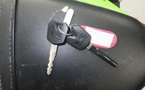 KAWASAKI NINJA 250 ABS EX250L