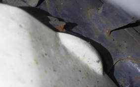 HONDA GYRO CANOPY TA03
