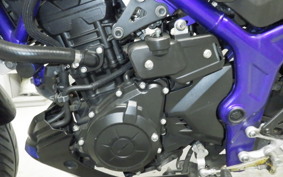 YAMAHA MT-25 2013 RG43J