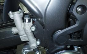 HONDA CRF250L 2006 MD47