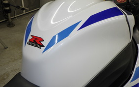 SUZUKI GSX-R1000 2013