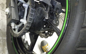 KAWASAKI NINJA 250 2024 EX250Y