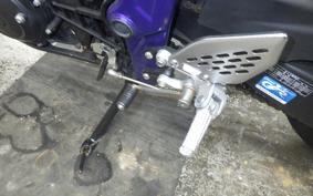 YAMAHA MT-25 2009 RG43J