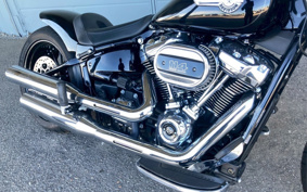 HARLEY FLFBS 2022 YGK