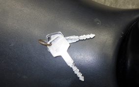 HONDA HORNET 250 1994 MC31