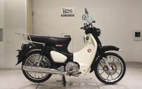 HONDA C125 SUPER CUB 2010 JA48