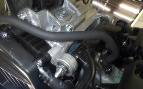 HONDA GIORNO 3 AF77