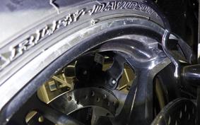 HARLEY FLTRX1920 2025