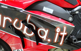 DUCATI PANIGA-REV4S 2020 DA00J