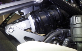 KAWASAKI Z900RS 2025 ZR900K