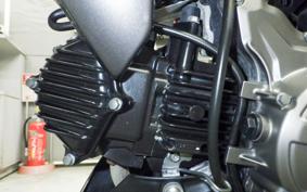 KAWASAKI Z125 PRO 2024 BR125H
