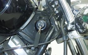 YAMAHA DRAGSTAR 250 2020 VG05J
