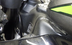 KAWASAKI NINJA ZX-6R A 2024 ZX636J