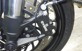 TRIUMPH SPEED400 2024