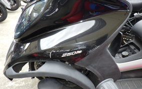 PIAGGIO MP3 250 FL