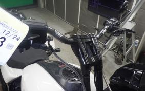 OTHER +HD. FLTRXSTSE1980CVO 2024
