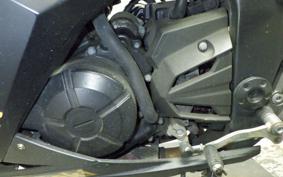KAWASAKI NINJA 250 EX250L