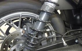 HARLEY RH975S 2024