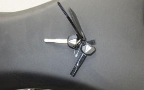 KAWASAKI NINJA ZX-6R A 2025 ZX636J